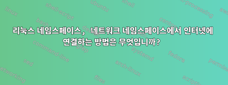 리눅스 네임스페이스, 네트워크 네임스페이스에서 인터넷에 연결하는 방법은 무엇입니까?