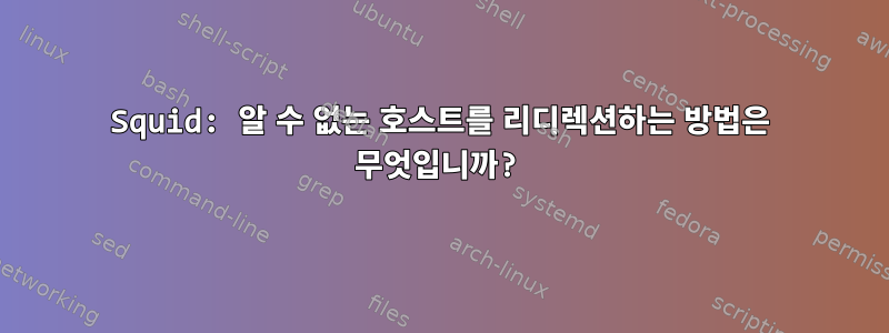 Squid: 알 수 없는 호스트를 리디렉션하는 방법은 무엇입니까?