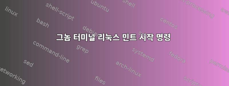 그놈 터미널 리눅스 민트 시작 명령