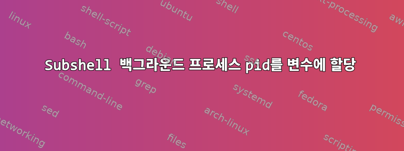 Subshell 백그라운드 프로세스 pid를 변수에 할당