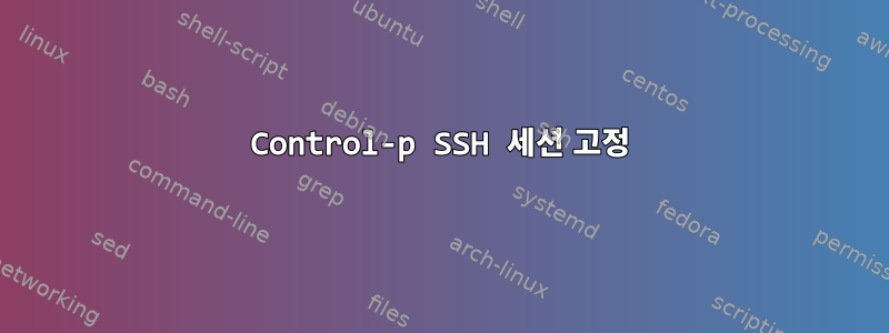 Control-p SSH 세션 고정