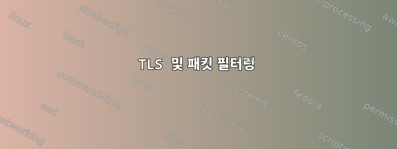 TLS 및 패킷 필터링