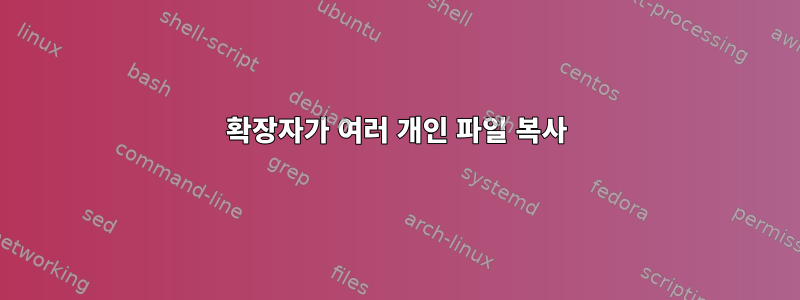 확장자가 여러 개인 파일 복사