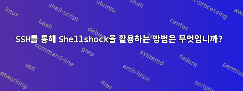 SSH를 통해 Shellshock을 활용하는 방법은 무엇입니까?