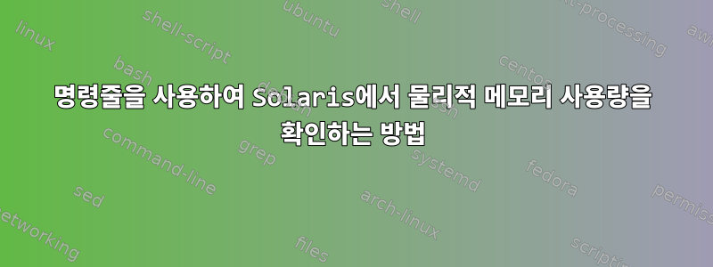 명령줄을 사용하여 Solaris에서 물리적 메모리 사용량을 확인하는 방법