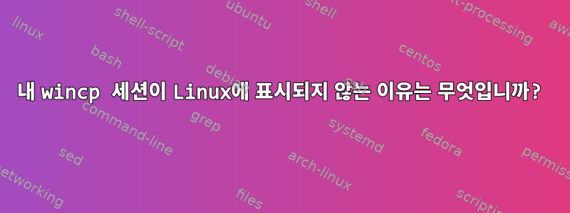 내 wincp 세션이 Linux에 표시되지 않는 이유는 무엇입니까?