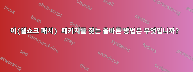 이(쉘쇼크 패치) 패키지를 찾는 올바른 방법은 무엇입니까?