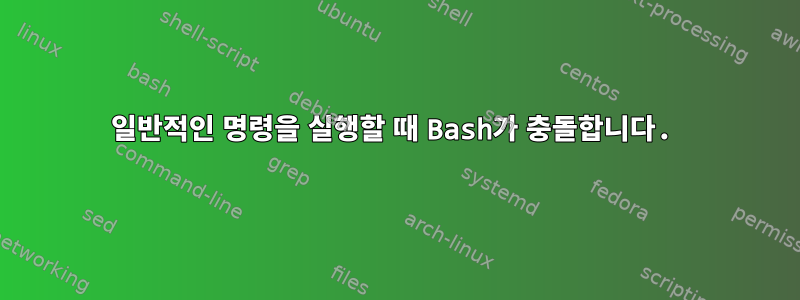 일반적인 명령을 실행할 때 Bash가 충돌합니다.