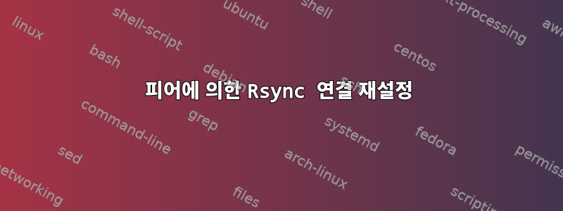 피어에 의한 Rsync 연결 재설정