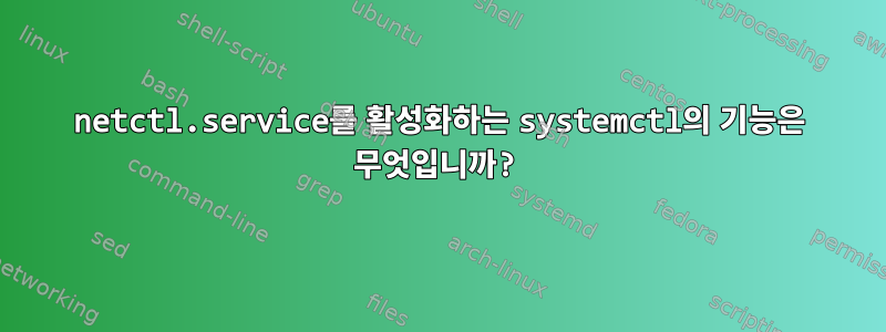 netctl.service를 활성화하는 systemctl의 기능은 무엇입니까?