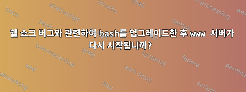 쉘 쇼크 버그와 관련하여 bash를 업그레이드한 후 www 서버가 다시 시작됩니까?