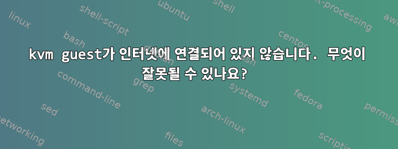 kvm guest가 인터넷에 연결되어 있지 않습니다. 무엇이 잘못될 수 있나요?