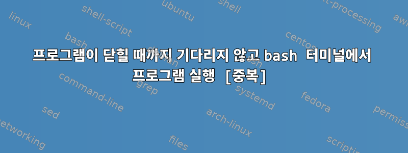 프로그램이 닫힐 때까지 기다리지 않고 bash 터미널에서 프로그램 실행 [중복]