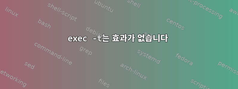 exec -t는 효과가 없습니다