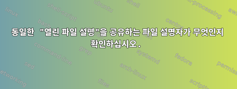 동일한 "열린 파일 설명"을 공유하는 파일 설명자가 무엇인지 확인하십시오.