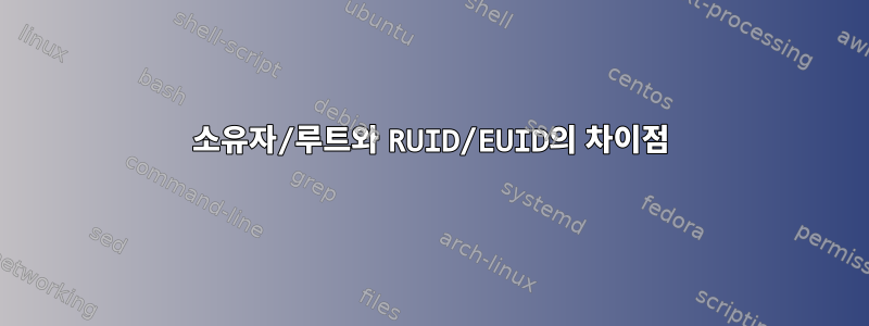 소유자/루트와 RUID/EUID의 차이점