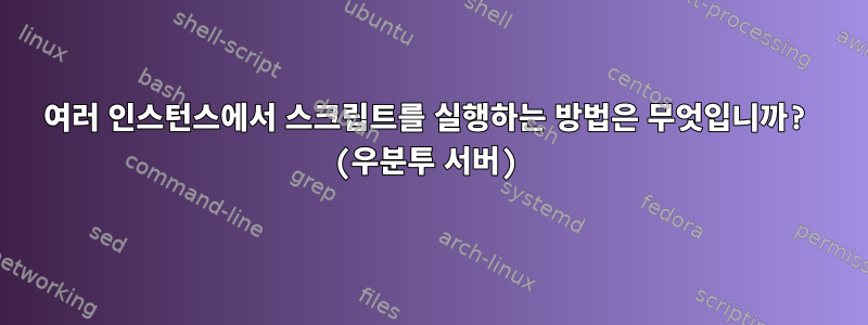 여러 인스턴스에서 스크립트를 실행하는 방법은 무엇입니까? (우분투 서버)