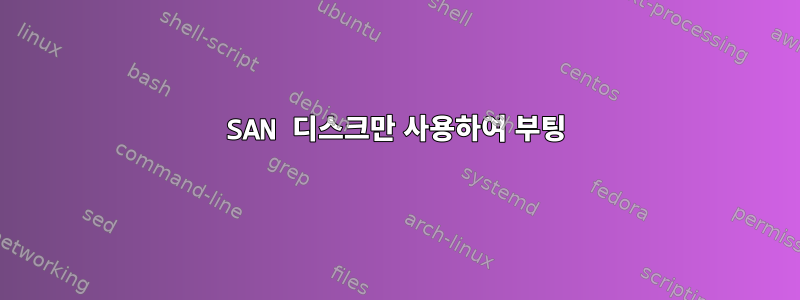 SAN 디스크만 사용하여 부팅