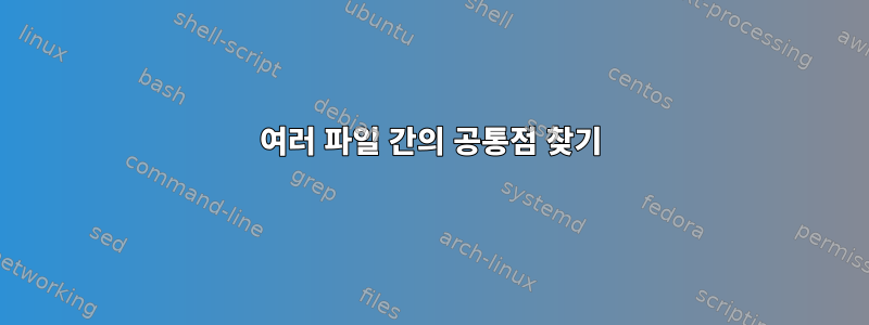 여러 파일 간의 공통점 찾기