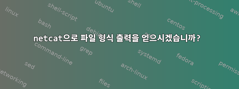 netcat으로 파일 형식 출력을 얻으시겠습니까?