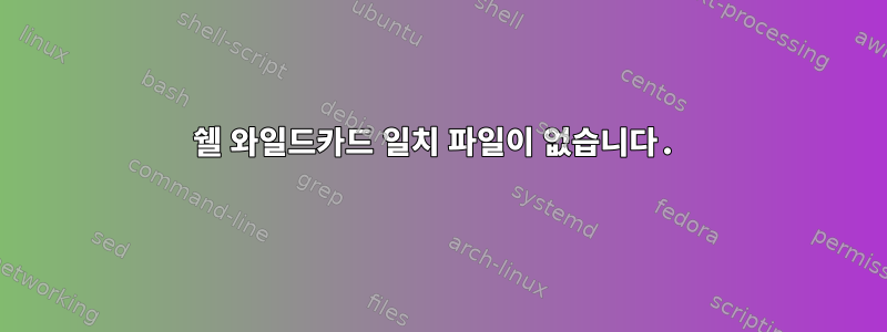 쉘 와일드카드 일치 파일이 없습니다.