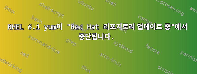 RHEL 6.1 yum이 "Red Hat 리포지토리 업데이트 중"에서 중단됩니다.