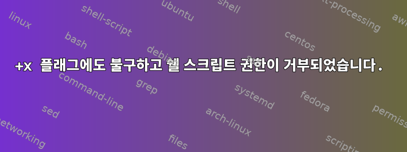 +x 플래그에도 불구하고 쉘 스크립트 권한이 거부되었습니다.