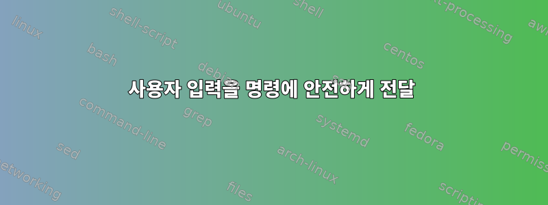 사용자 입력을 명령에 안전하게 전달