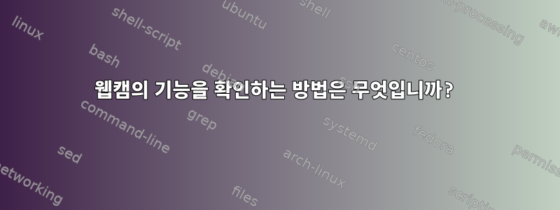 웹캠의 기능을 확인하는 방법은 무엇입니까?