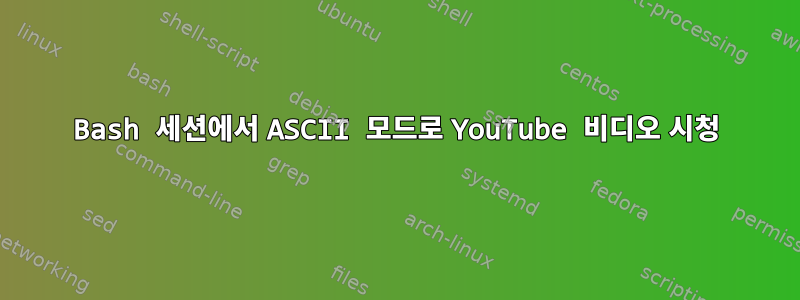 Bash 세션에서 ASCII 모드로 YouTube 비디오 시청