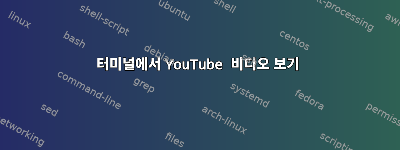 터미널에서 YouTube 비디오 보기