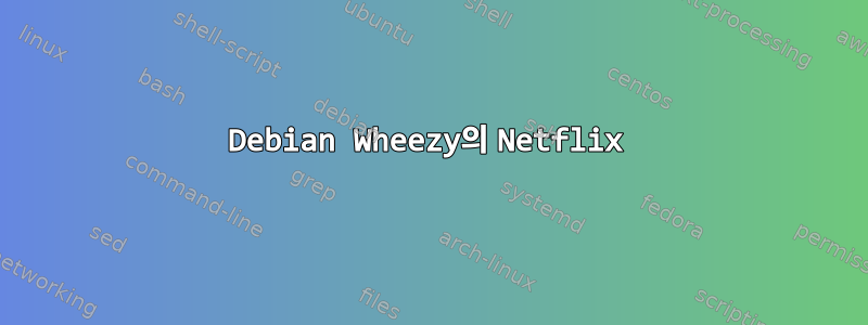 Debian Wheezy의 Netflix