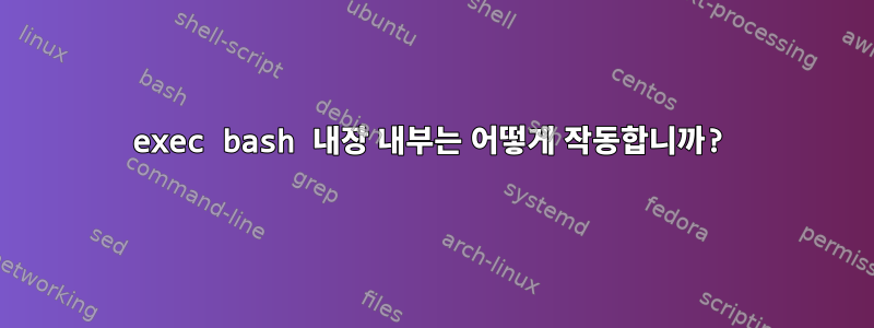 exec bash 내장 내부는 어떻게 작동합니까?