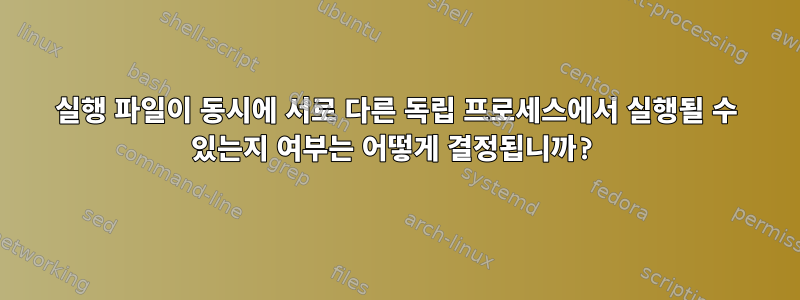 실행 파일이 동시에 서로 다른 독립 프로세스에서 실행될 수 있는지 여부는 어떻게 결정됩니까?