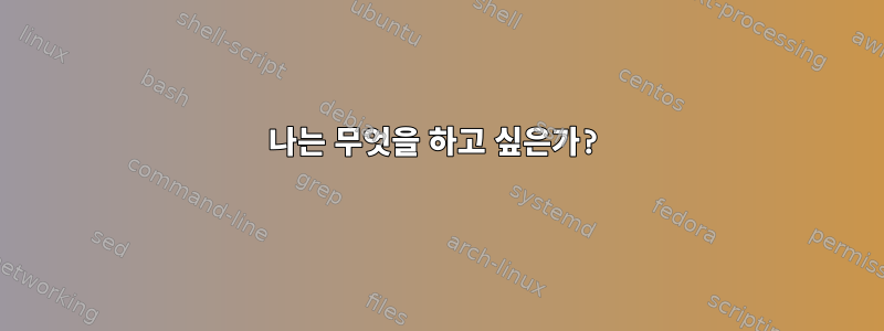 나는 무엇을 하고 싶은가?