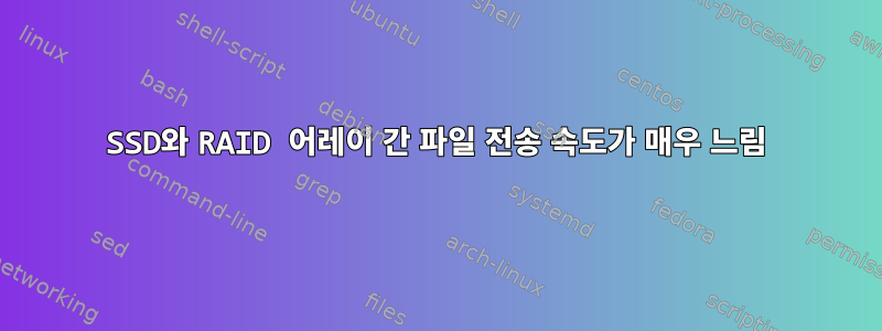 SSD와 RAID 어레이 간 파일 전송 속도가 매우 느림