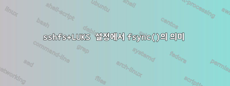 sshfs+LUKS 설정에서 fsync()의 의미