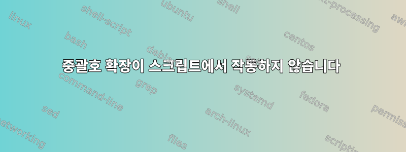 중괄호 확장이 스크립트에서 작동하지 않습니다