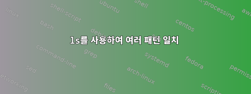 ls를 사용하여 여러 패턴 일치