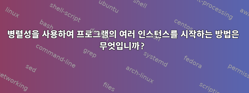 병렬성을 사용하여 프로그램의 여러 인스턴스를 시작하는 방법은 무엇입니까?