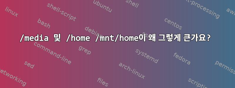 /media 및 /home /mnt/home이 왜 그렇게 큰가요?