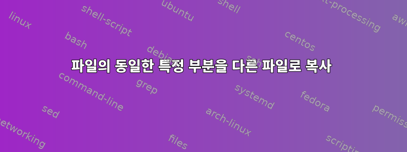 파일의 동일한 특정 부분을 다른 파일로 복사