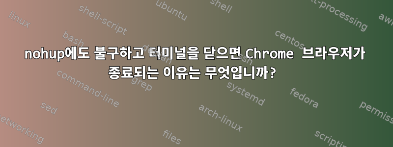 nohup에도 불구하고 터미널을 닫으면 Chrome 브라우저가 종료되는 이유는 무엇입니까?