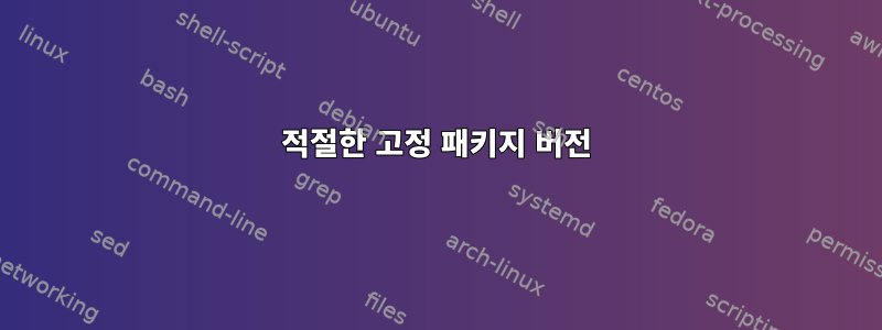 적절한 고정 패키지 버전