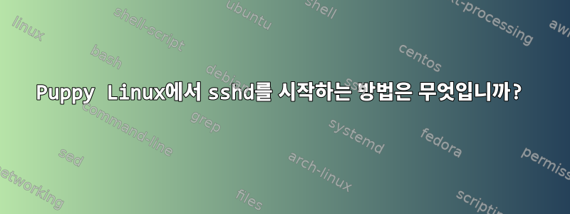 Puppy Linux에서 sshd를 시작하는 방법은 무엇입니까?