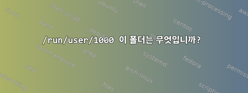 /run/user/1000 이 폴더는 무엇입니까?