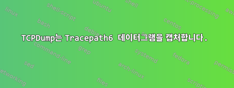 TCPDump는 Tracepath6 데이터그램을 캡처합니다.