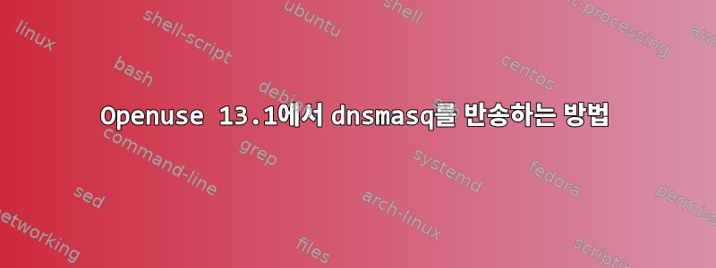 Openuse 13.1에서 dnsmasq를 반송하는 방법