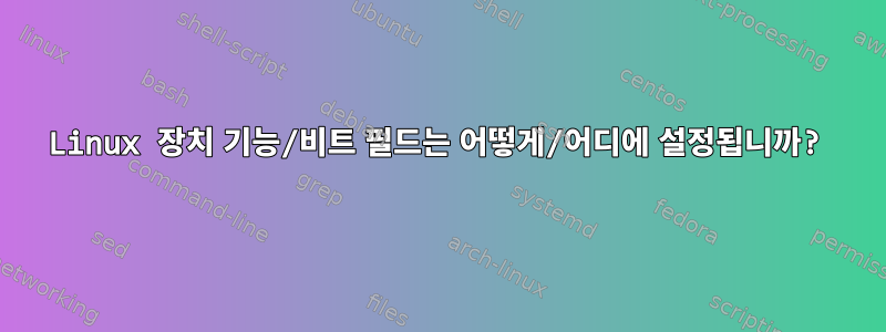 Linux 장치 기능/비트 필드는 어떻게/어디에 설정됩니까?