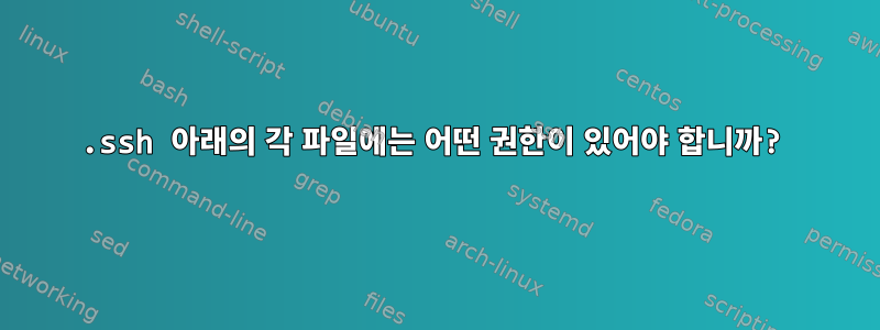 .ssh 아래의 각 파일에는 어떤 권한이 있어야 합니까?